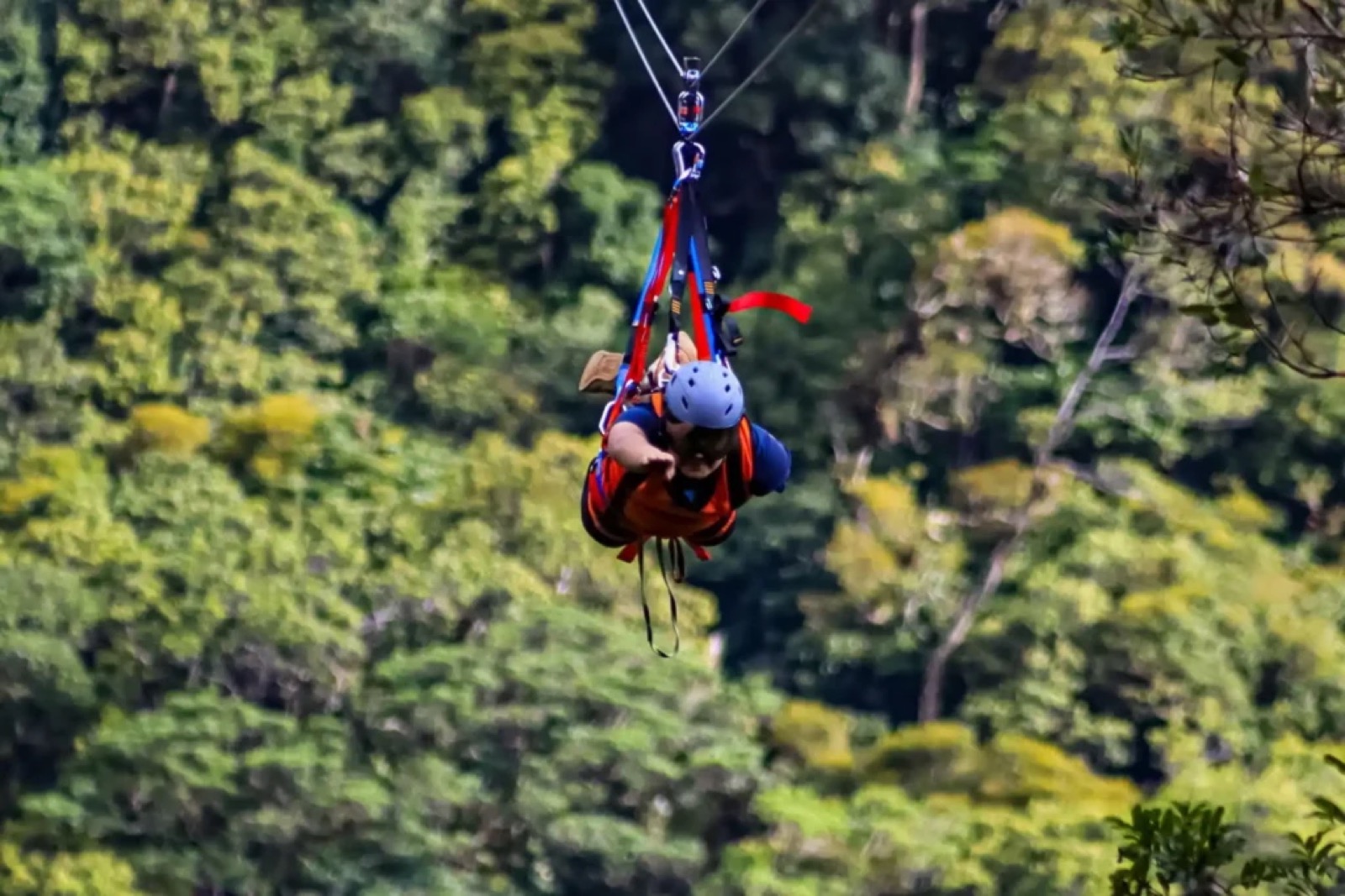 Canopy Zip-lining