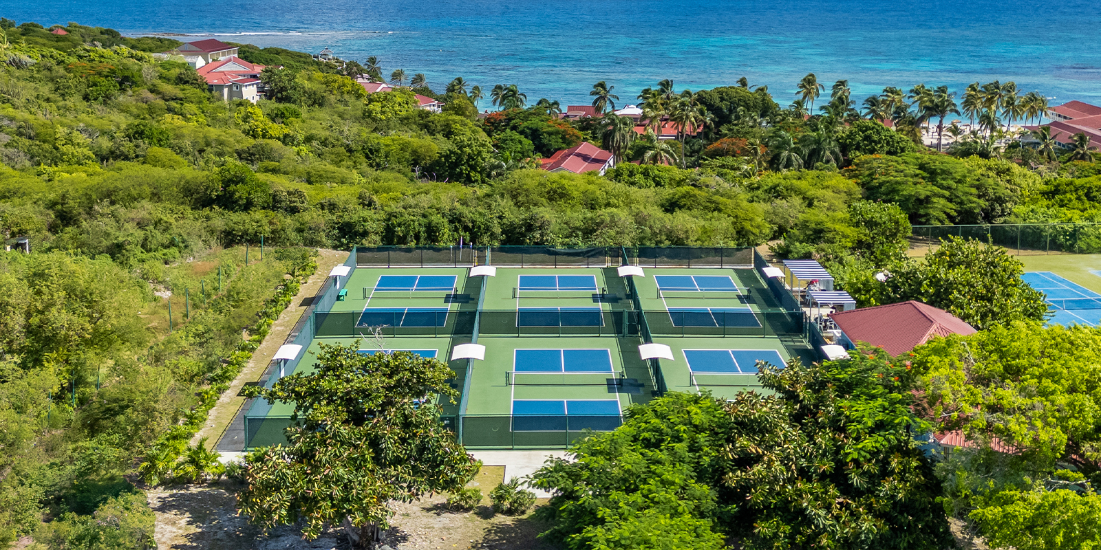 Pickleball in paradise